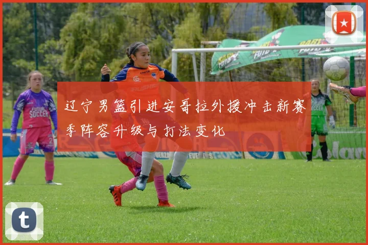 辽宁男篮引进安哥拉外援冲击新赛季阵容升级与打法变化