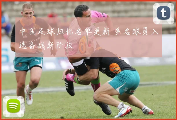 中国足球归化名单更新 多名球员入选备战新阶段